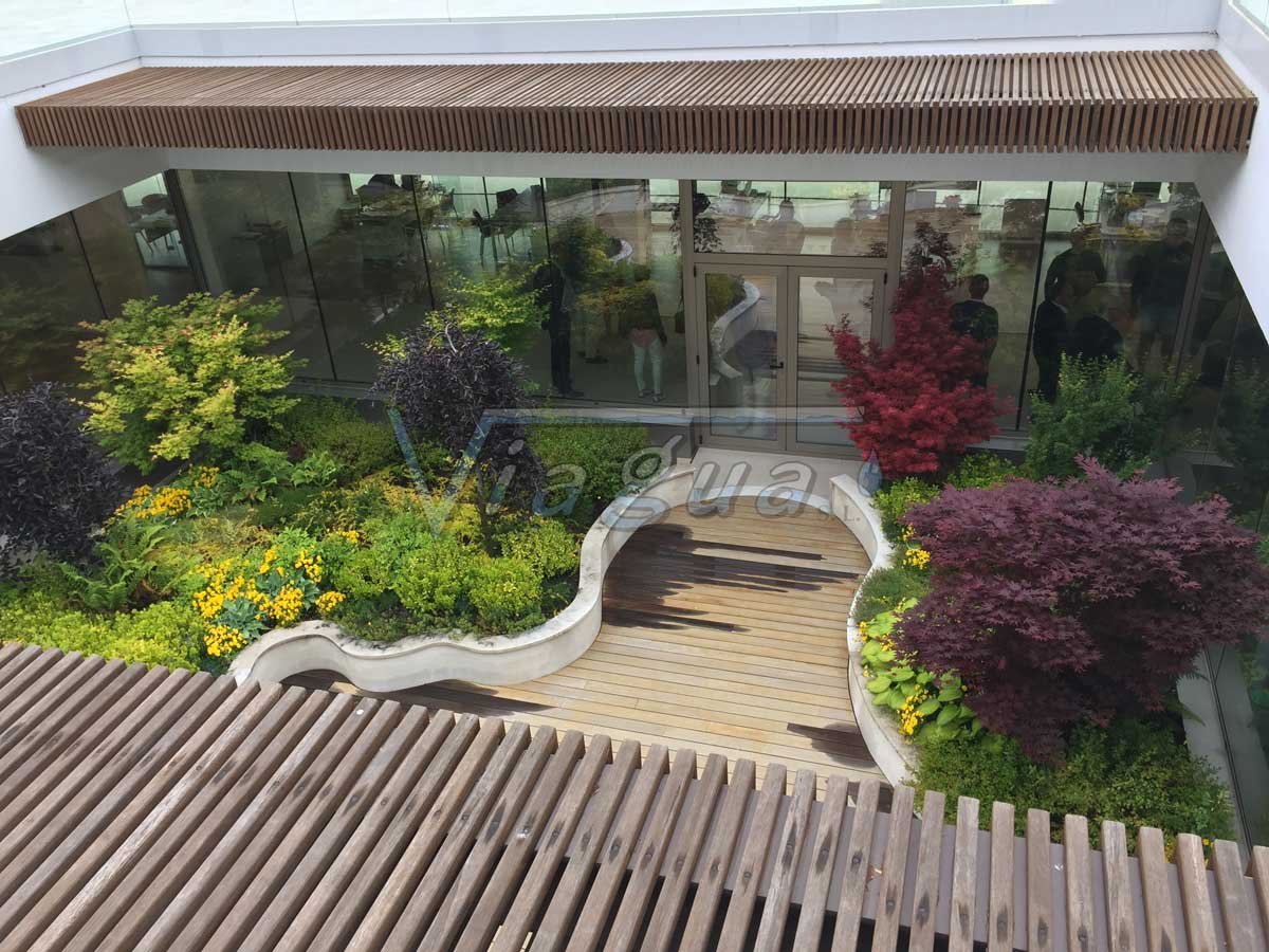 Plantación en Bodega