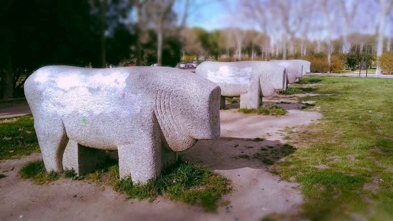 Lee más sobre el artículo Red de Bocas de Riego en zona urbana